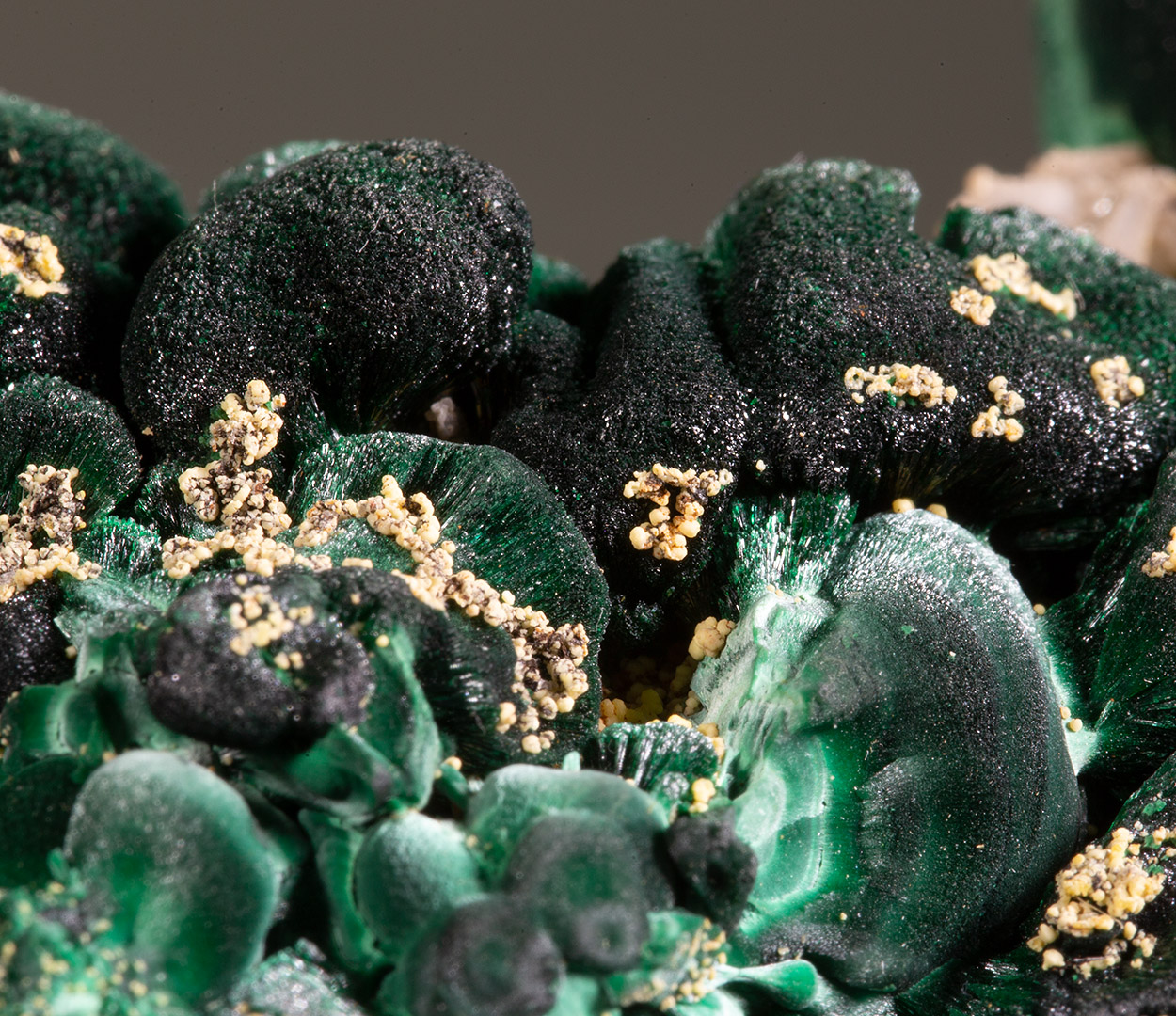 Malachite & Pyromorphite