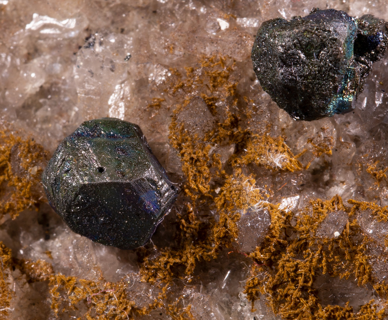 Bornite