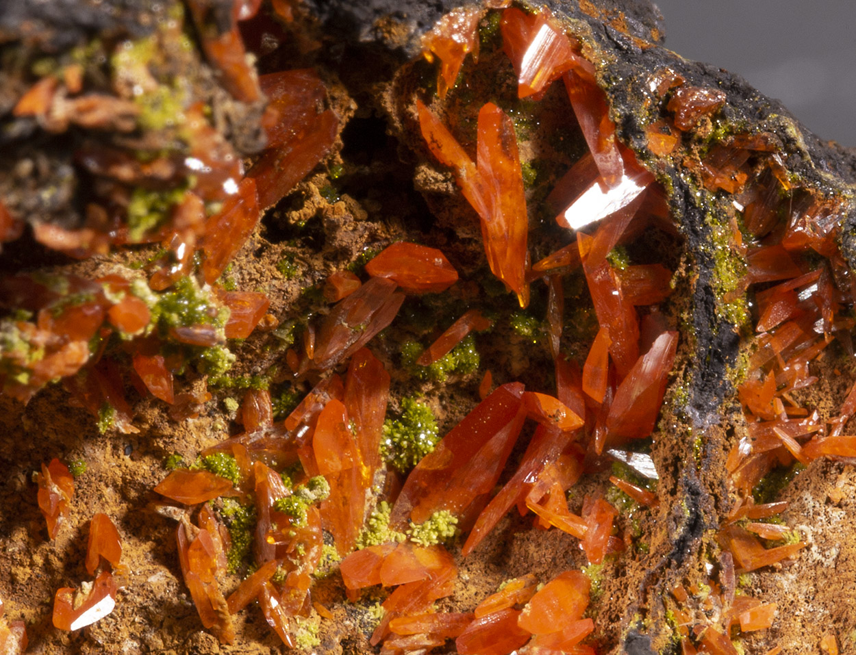 Crocoite & Pyromorphite