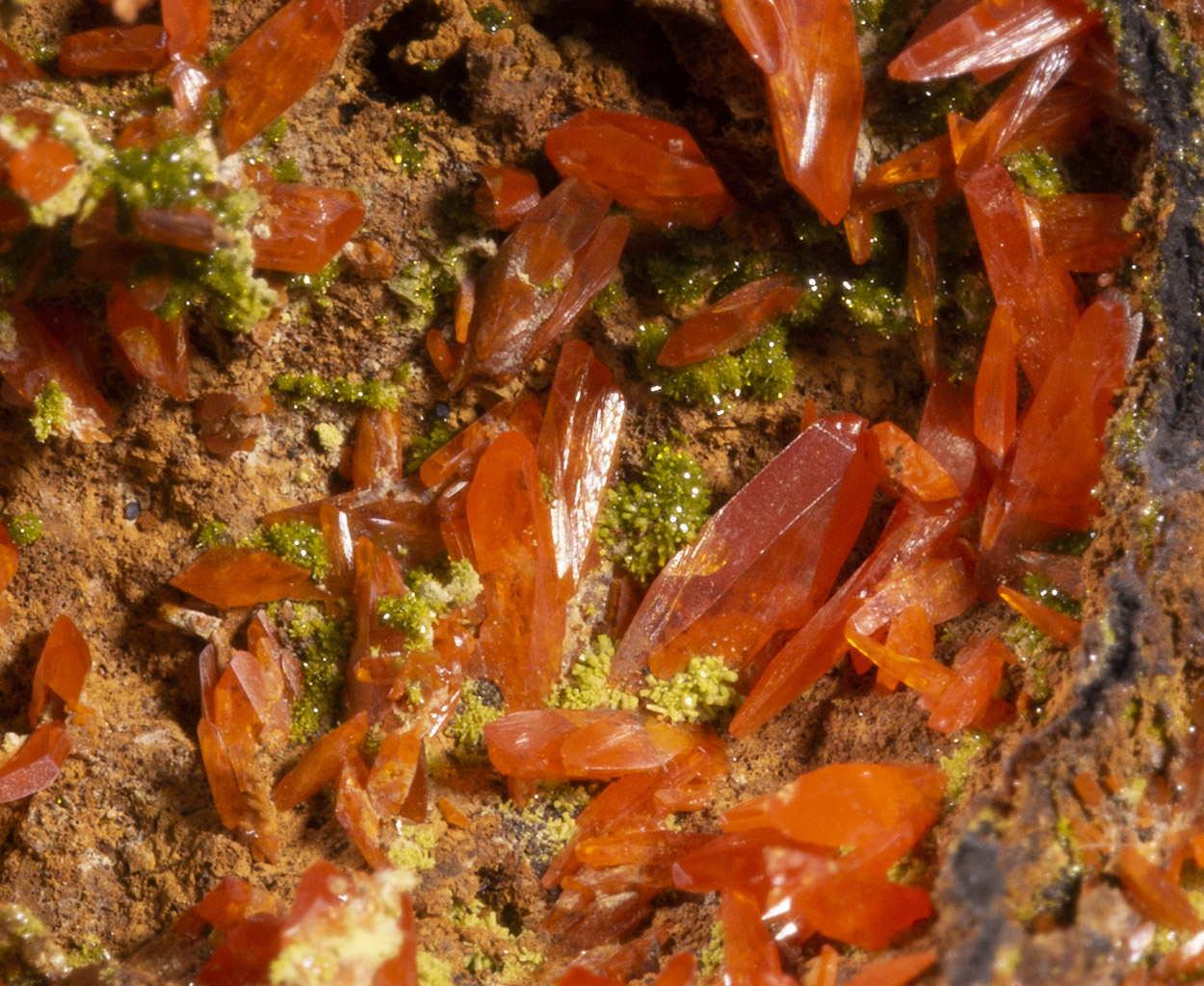 Crocoite & Pyromorphite