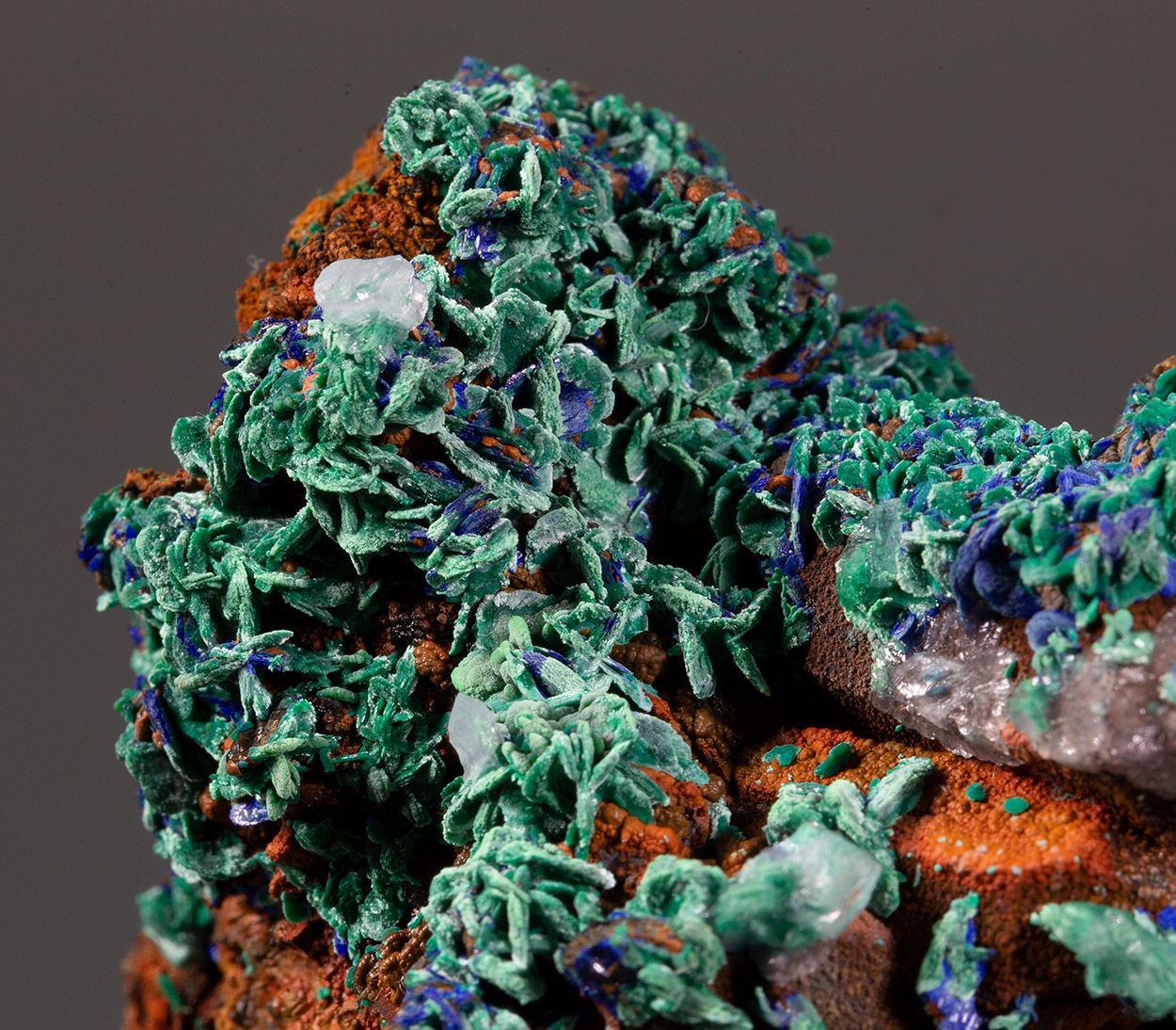 Azurite & Malachite Psm Azurite