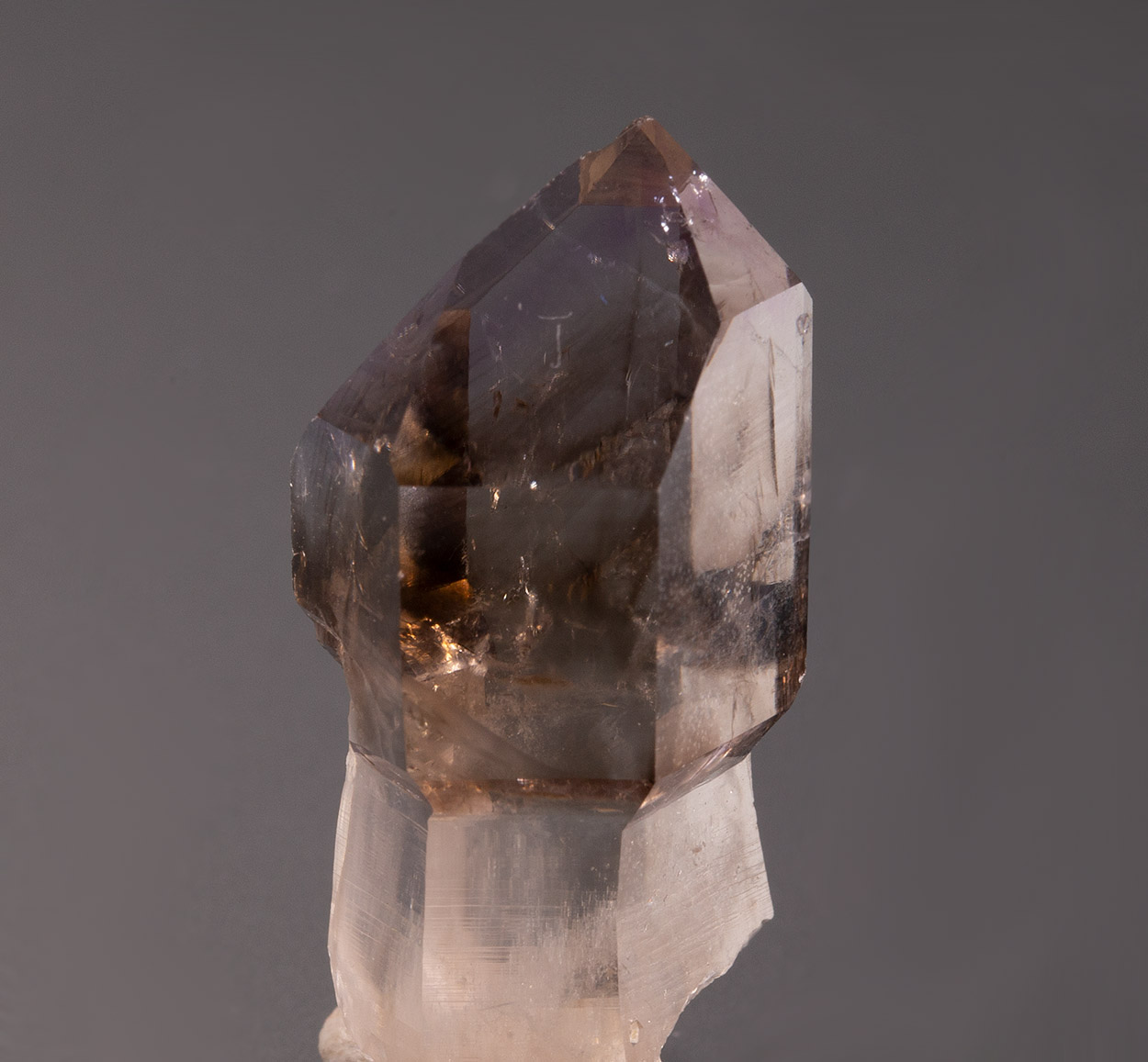 Smoky Quartz Var Sceptre