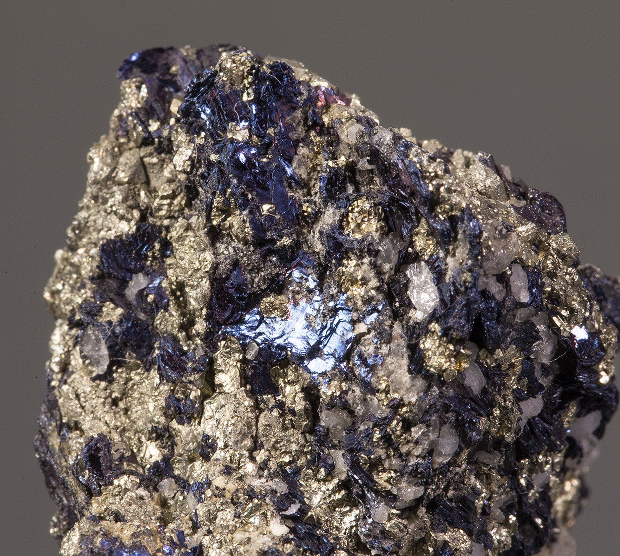 Covellite & Pyrite