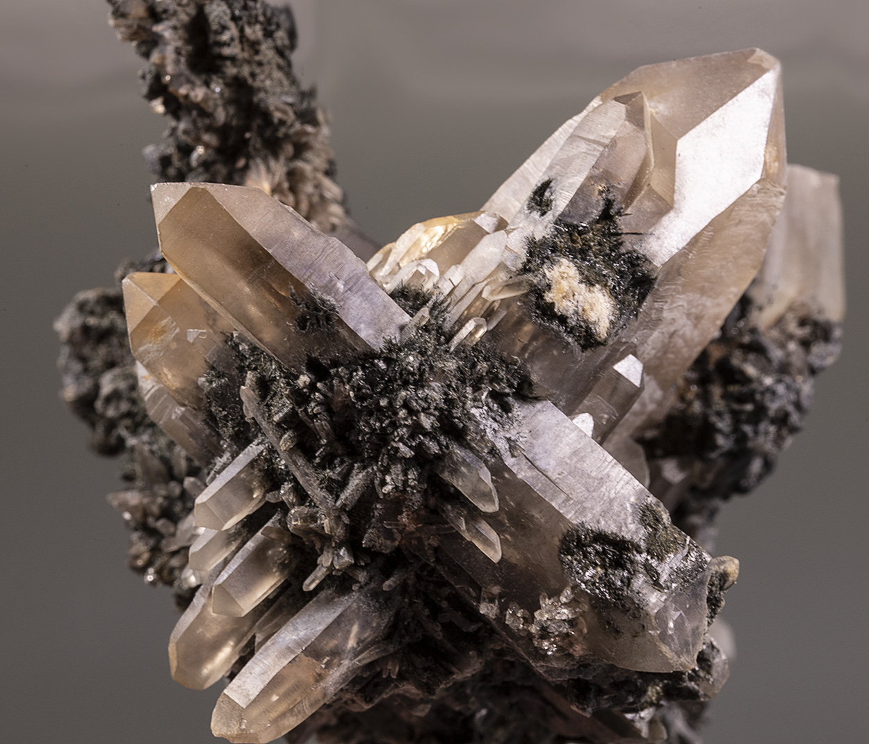 Gitter Quartz