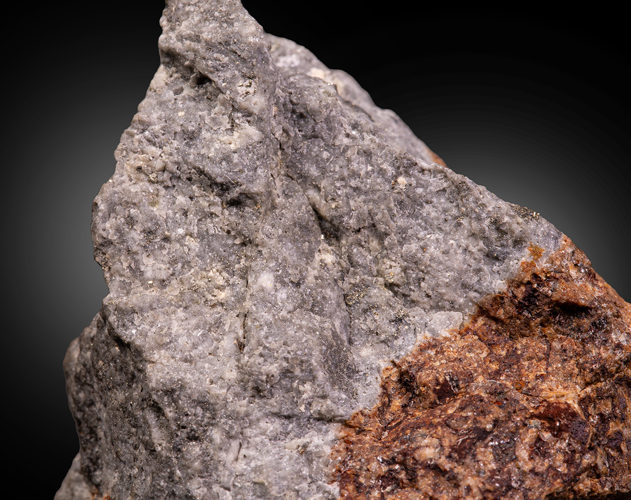 Sylvanite & Gold