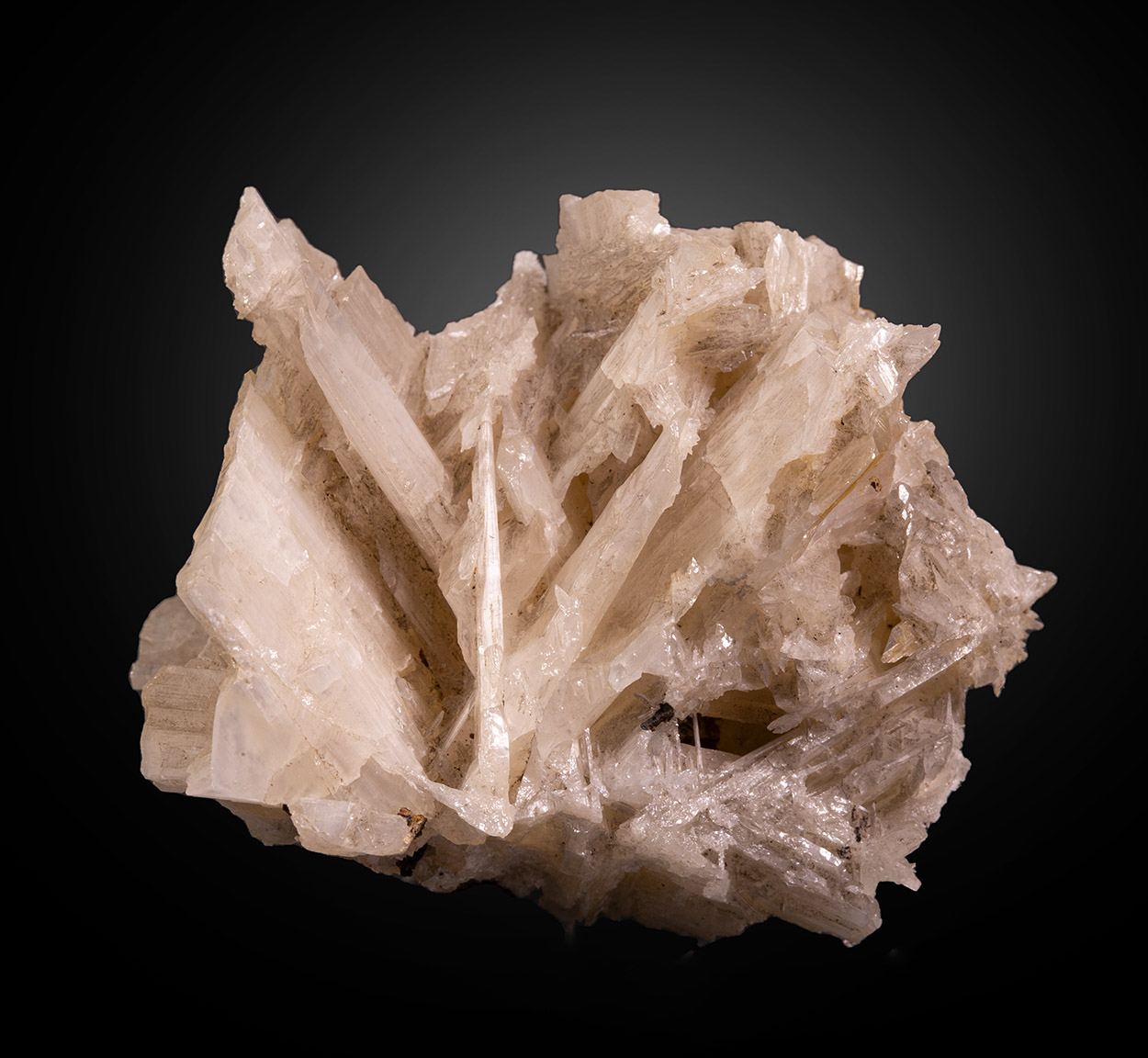 Cerussite