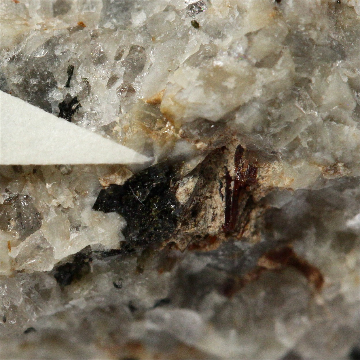 Dalyite With Janhaugite