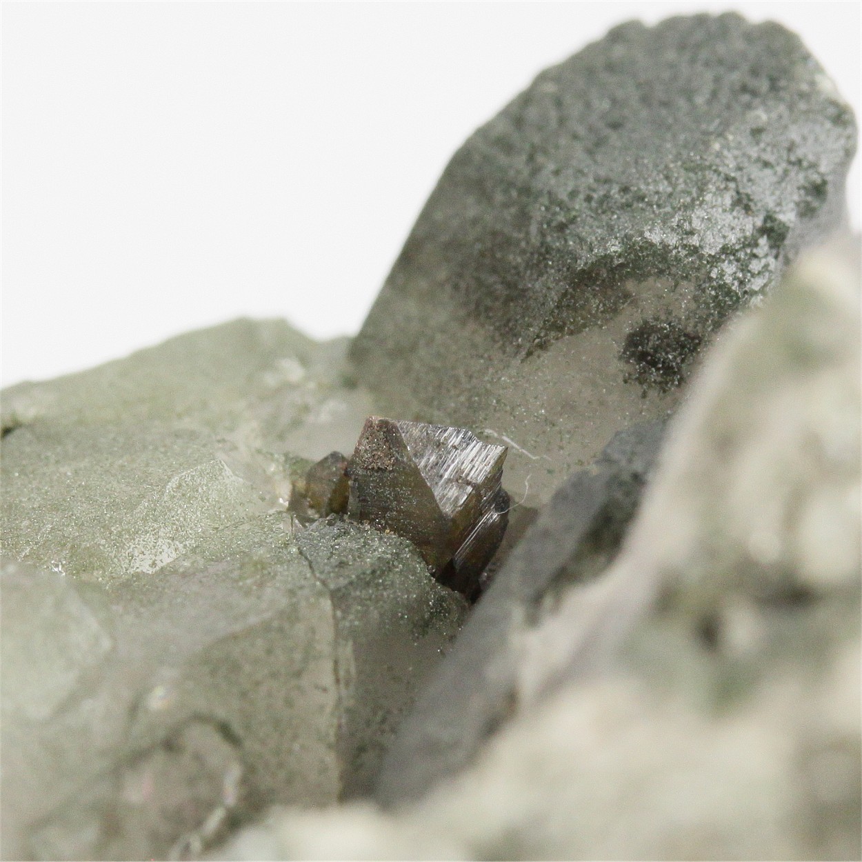 Anatase With Quartz & Chlorite