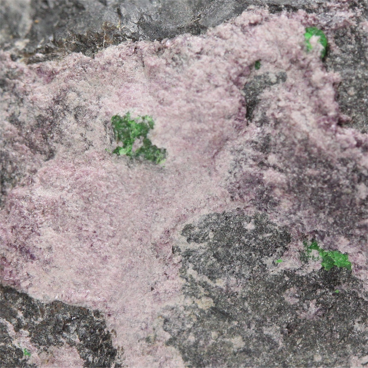 Chromian Clinochlore Var Kämmererite With Uvarovite