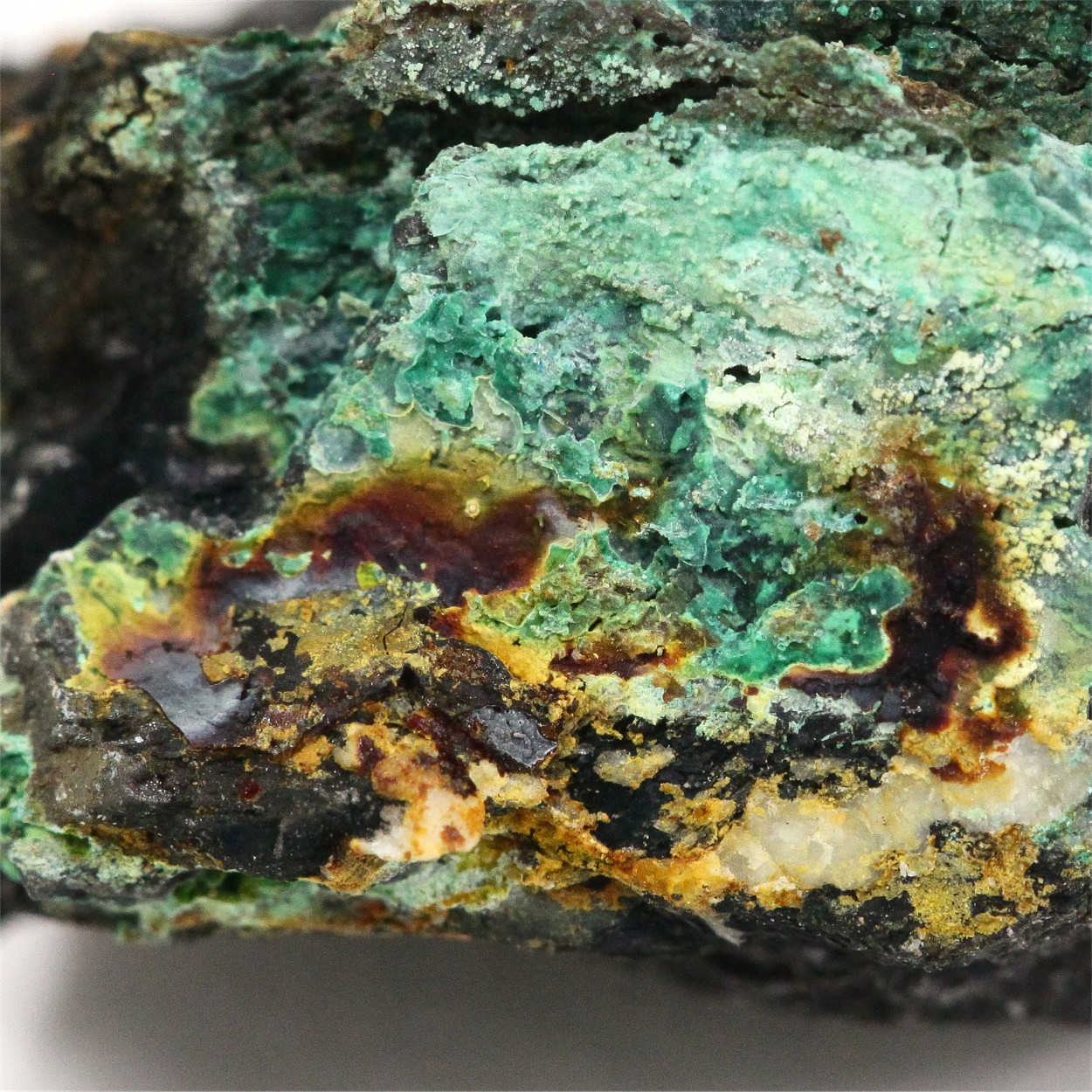 Hydrowoodwardite With Linarite