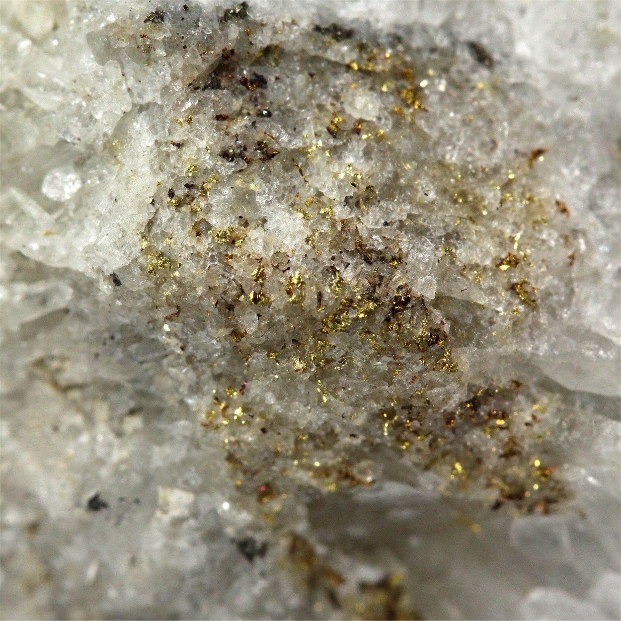 Gold With Sphalerite Galena & Chalcopyrite