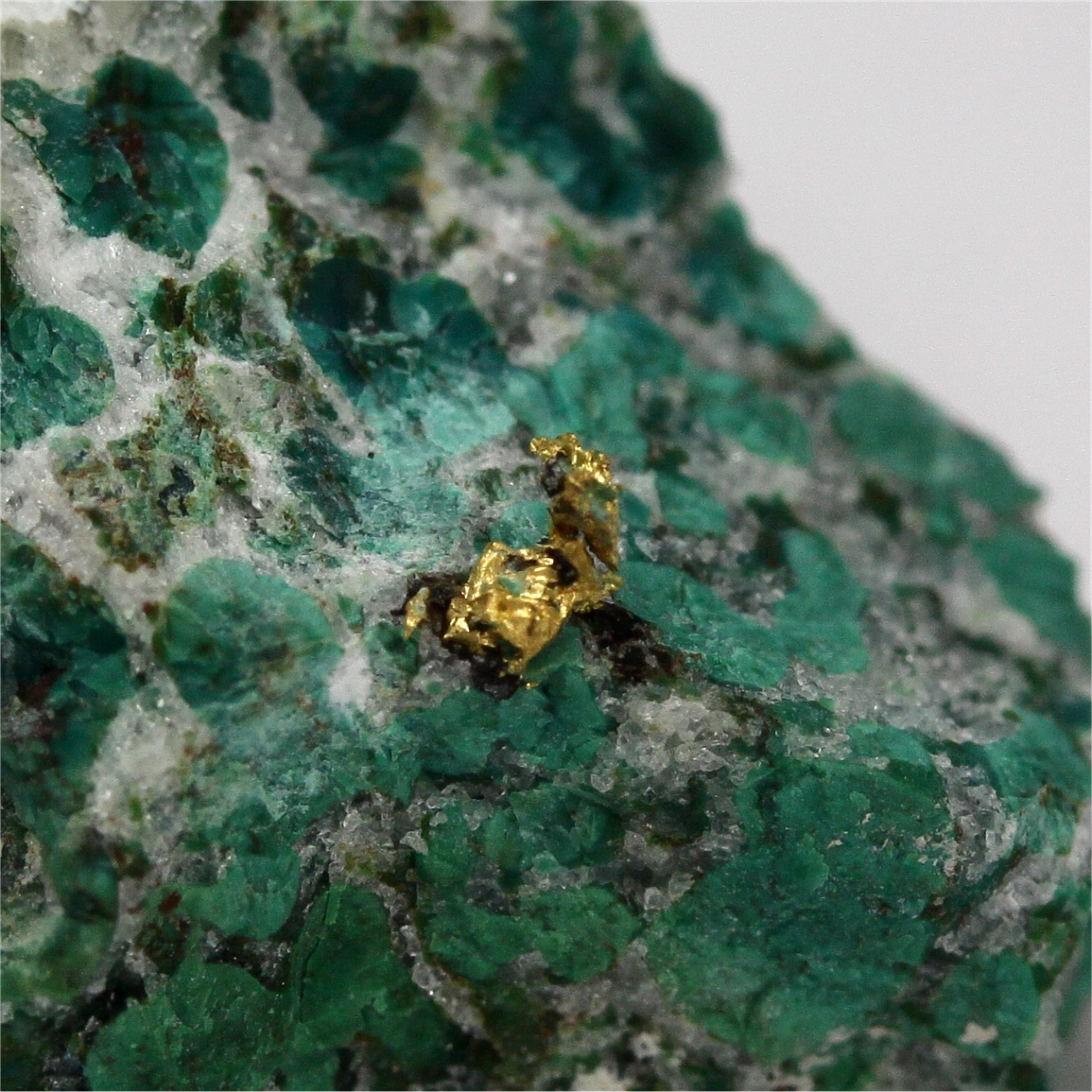 Gold With Chrysocolla