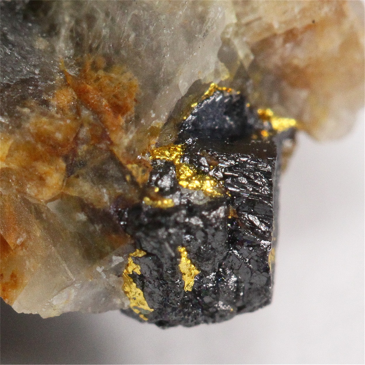 Gold With Uraninite