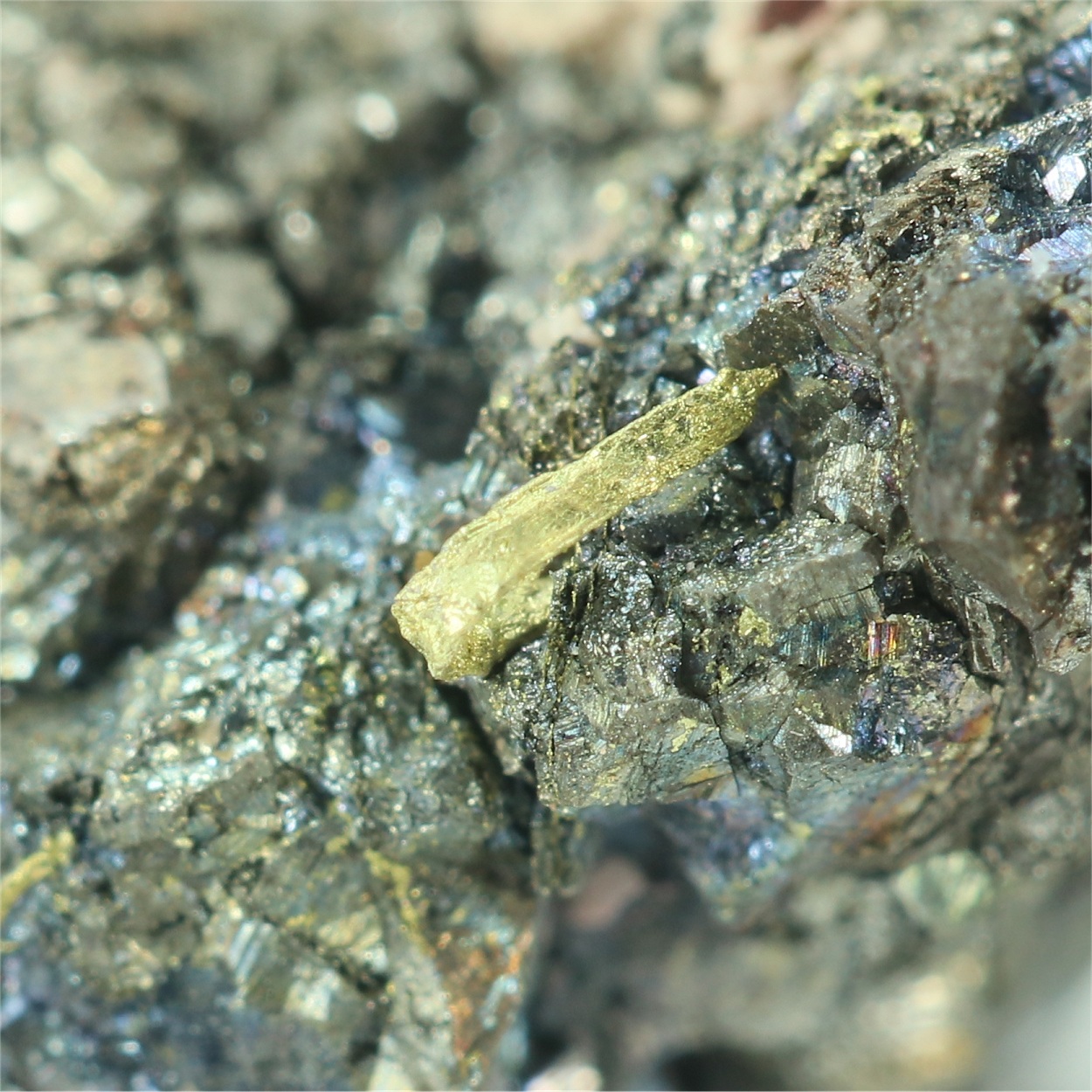 Gold With Skutterudite & Erythrite