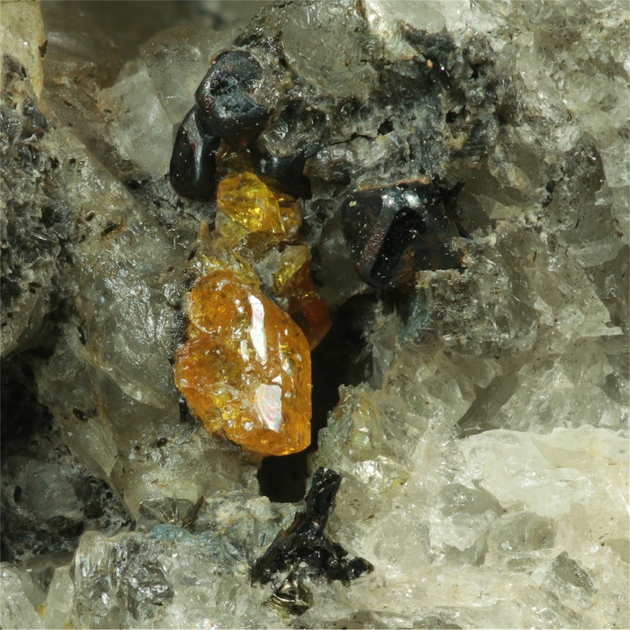 Pyrochlore With Sanidine & Titanite & Haüyne