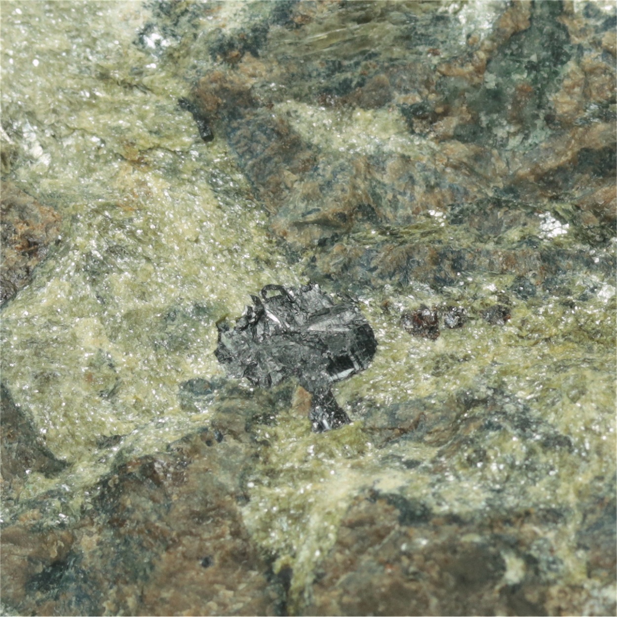 Columbite With Triplite & Mica Var Muscovite & Vivianite