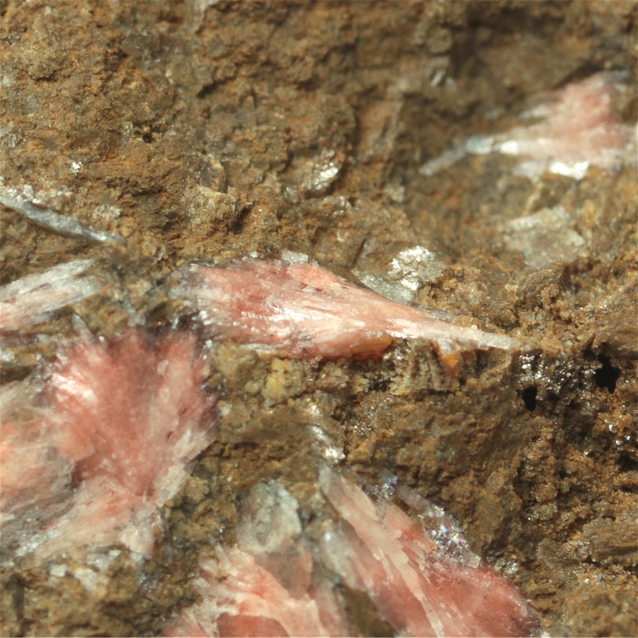 Manganoan Calcite