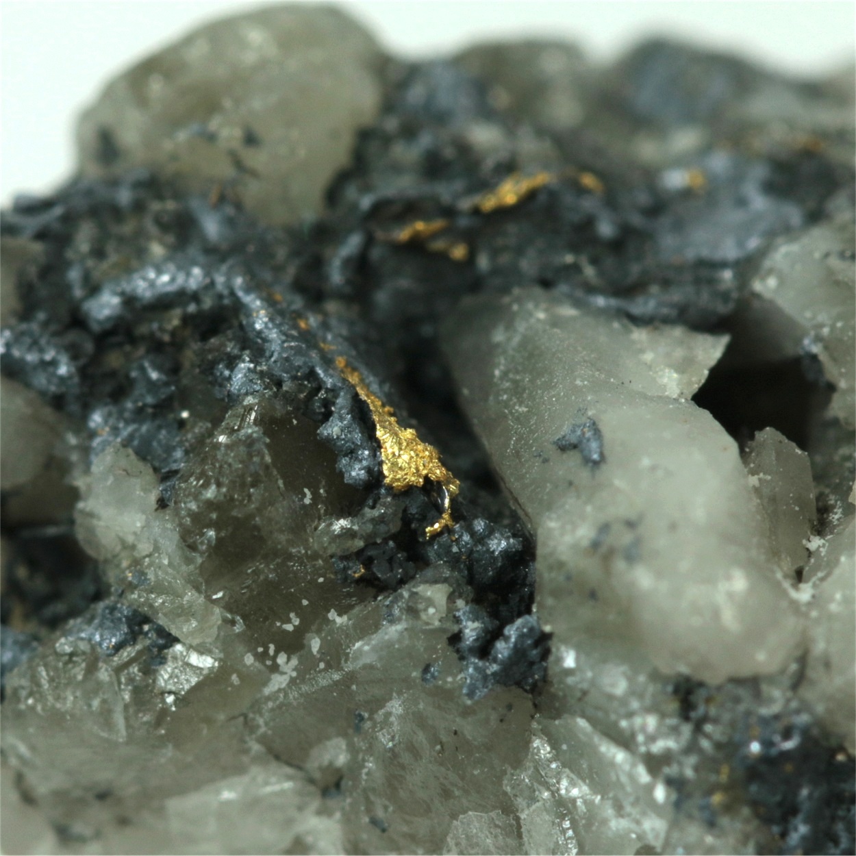 Gold With Molybdenite