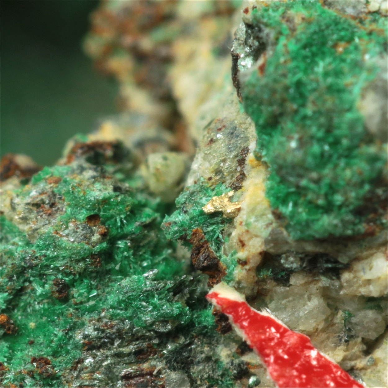 Gold With Malachite & Chalcopyrite