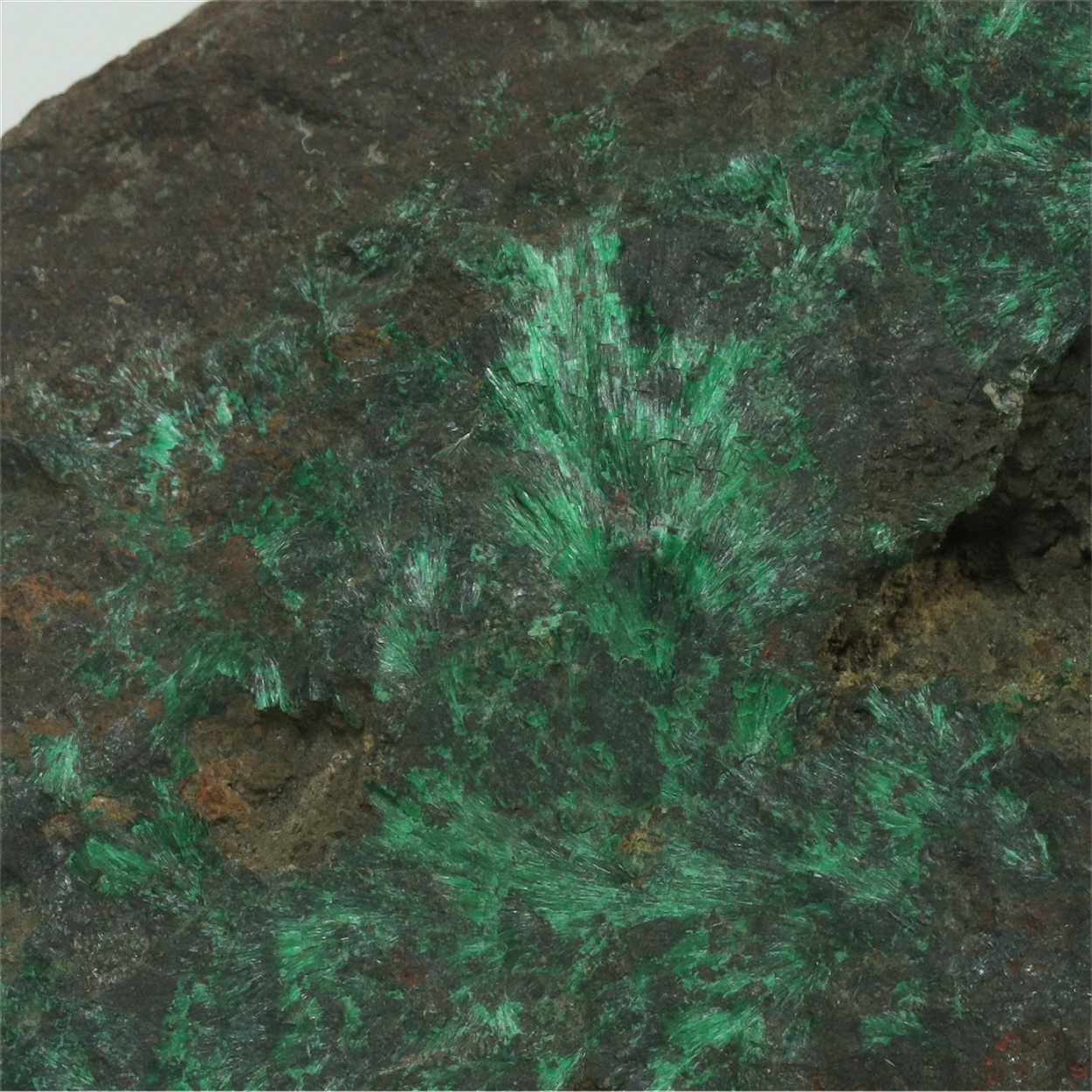 Malachite