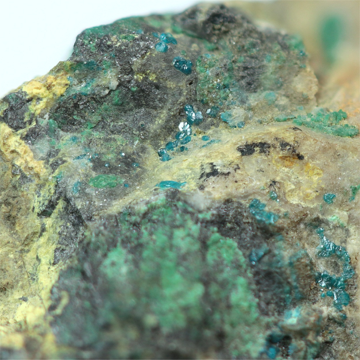 Boleite With Pyromorphite & Galena & Cerussite