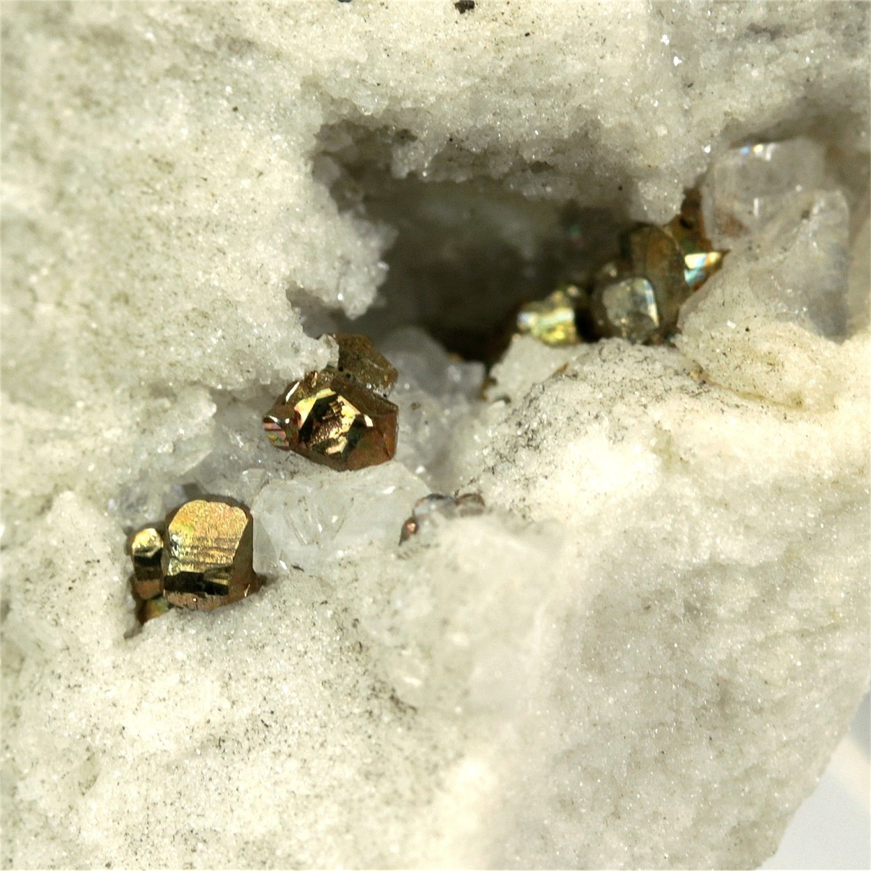 Dolomite With Pyrite & Sphalerite