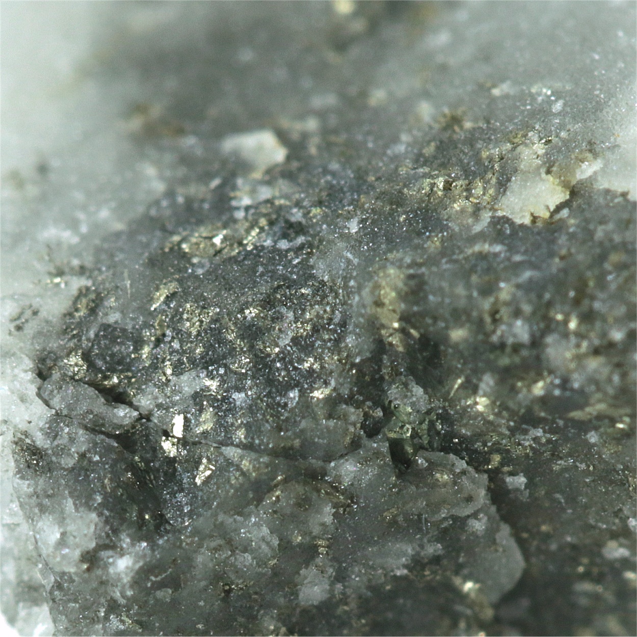 Gold With Krennerite & Petzite & Coloradoite