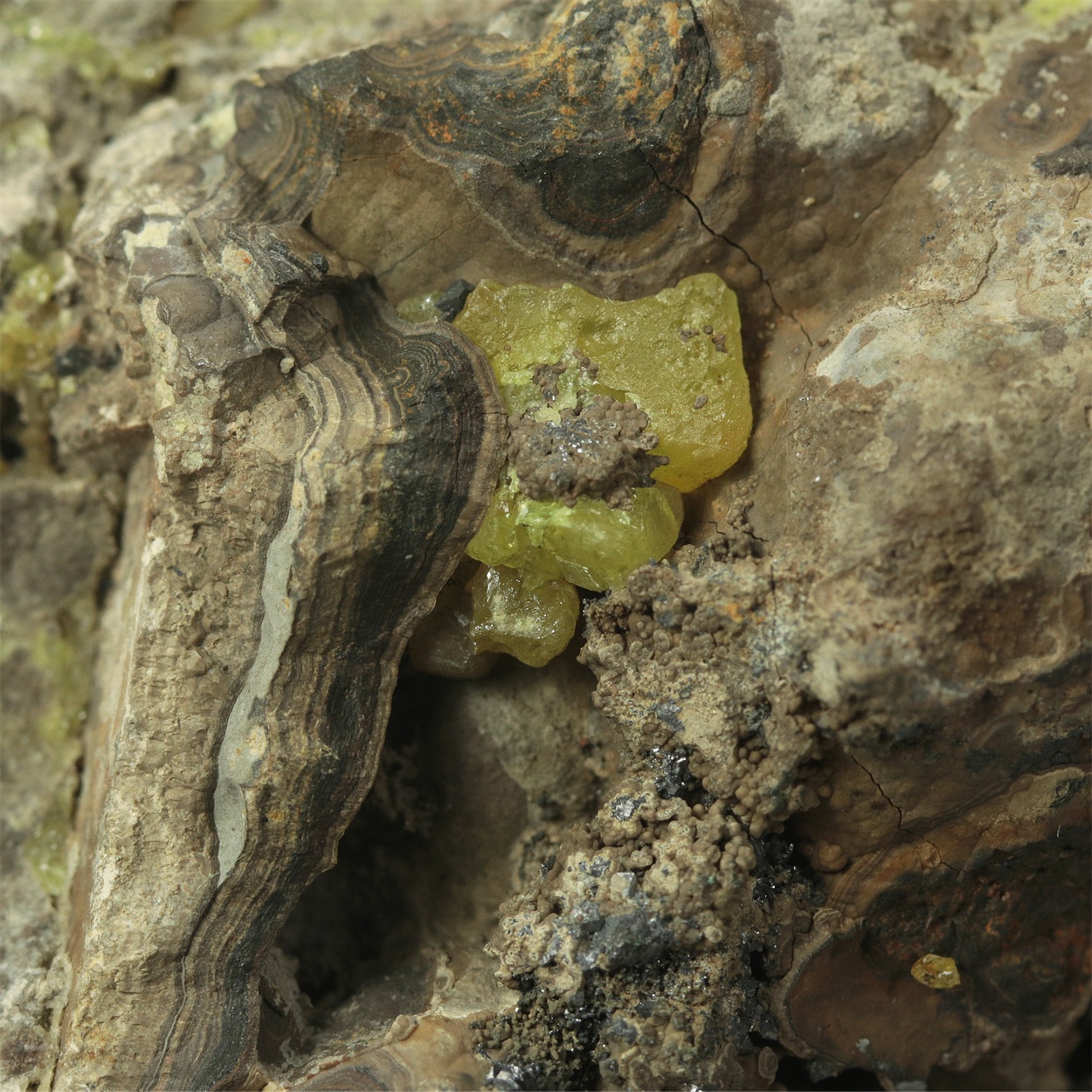 Sphalerite Var Schalenblende With Sulphur