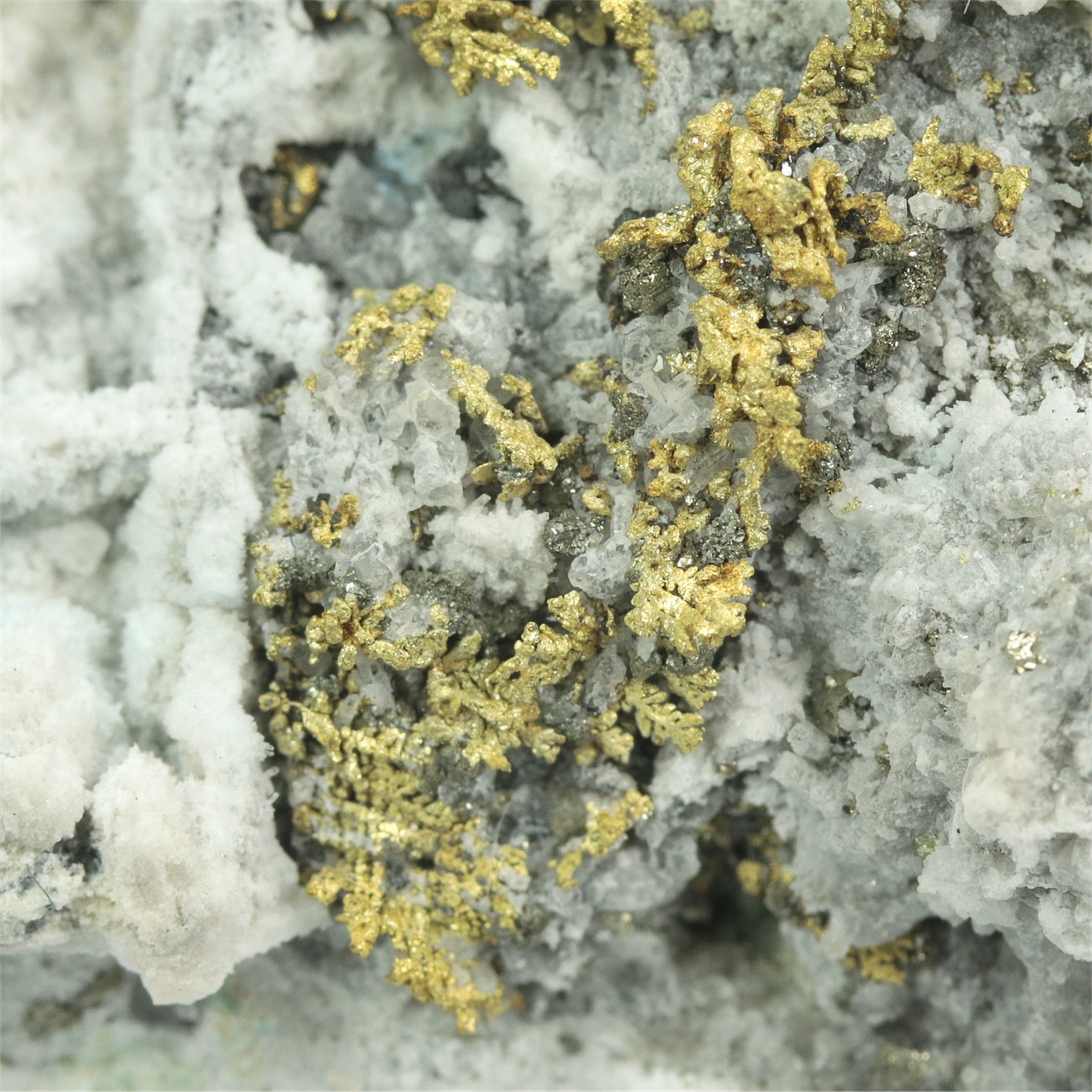Gold With Pyrite & Argyrodite