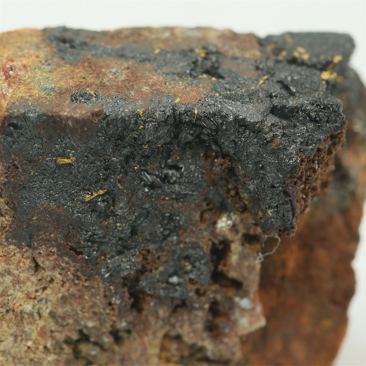 Gold With Uraninite