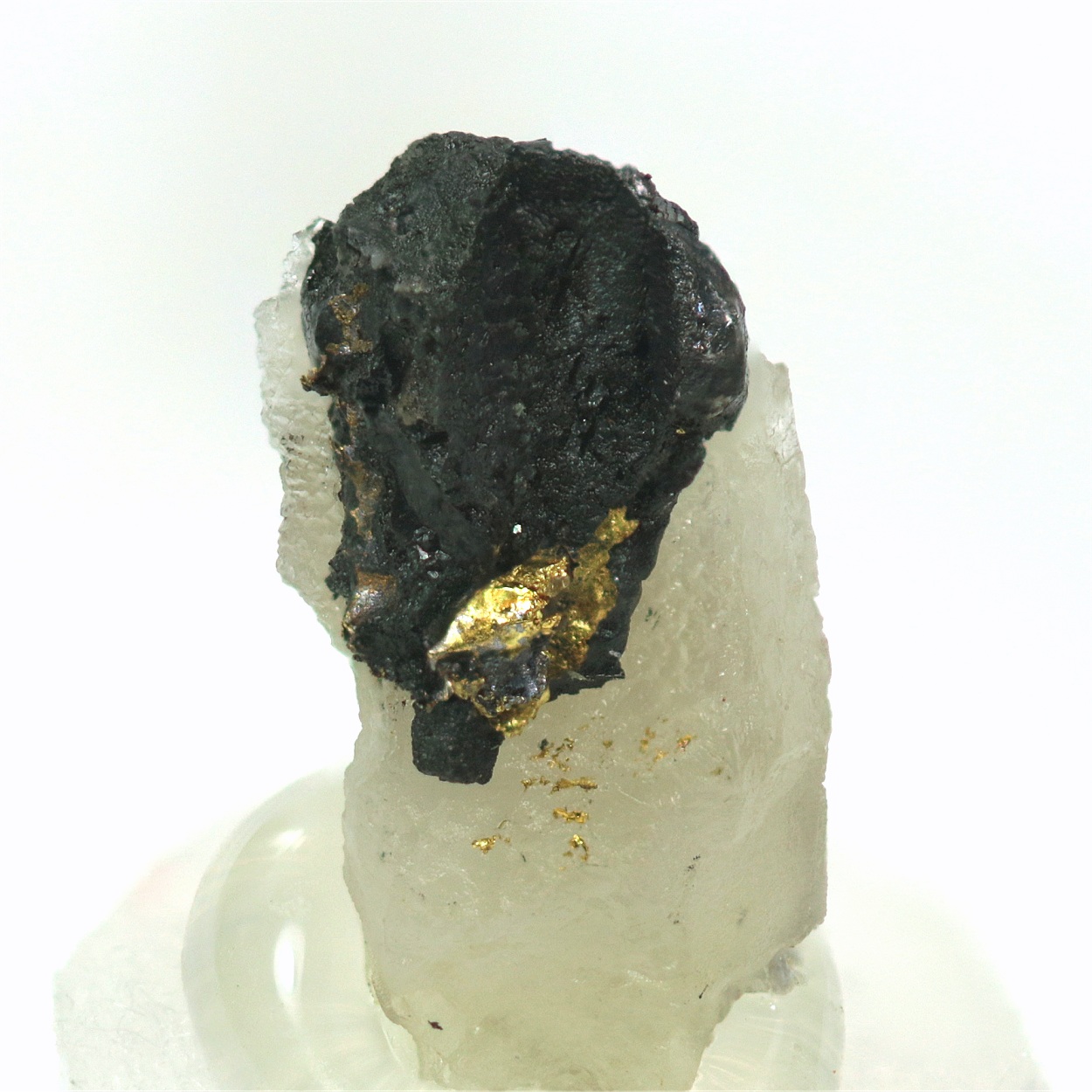 Gold With Brannerite