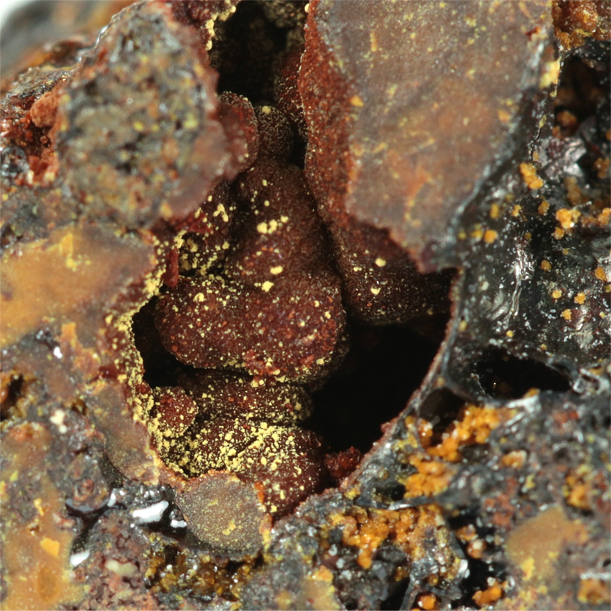 Gold With Jarosite