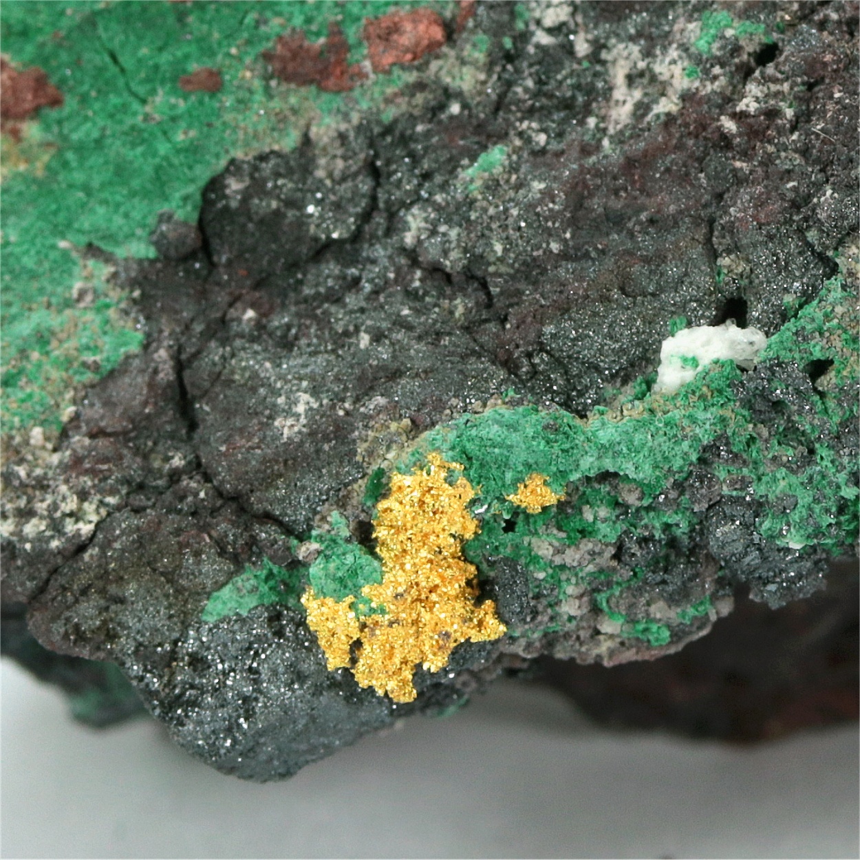 Gold With Bornite & Malachite