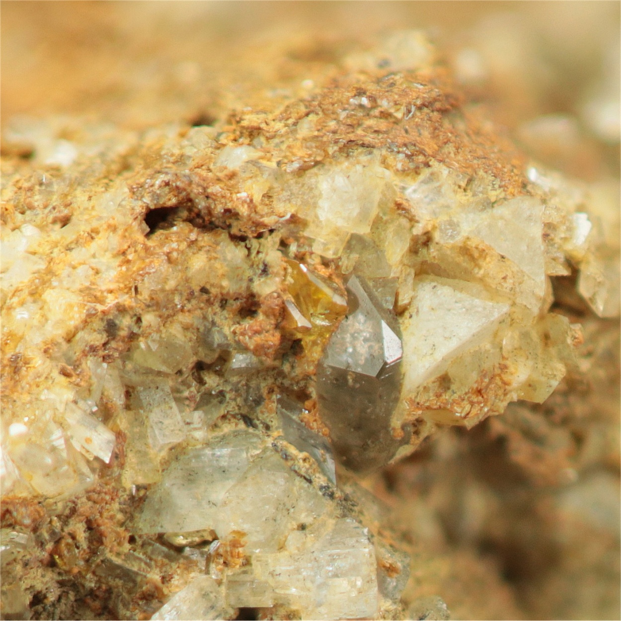 Monazite-(Ce) Var Turnerite