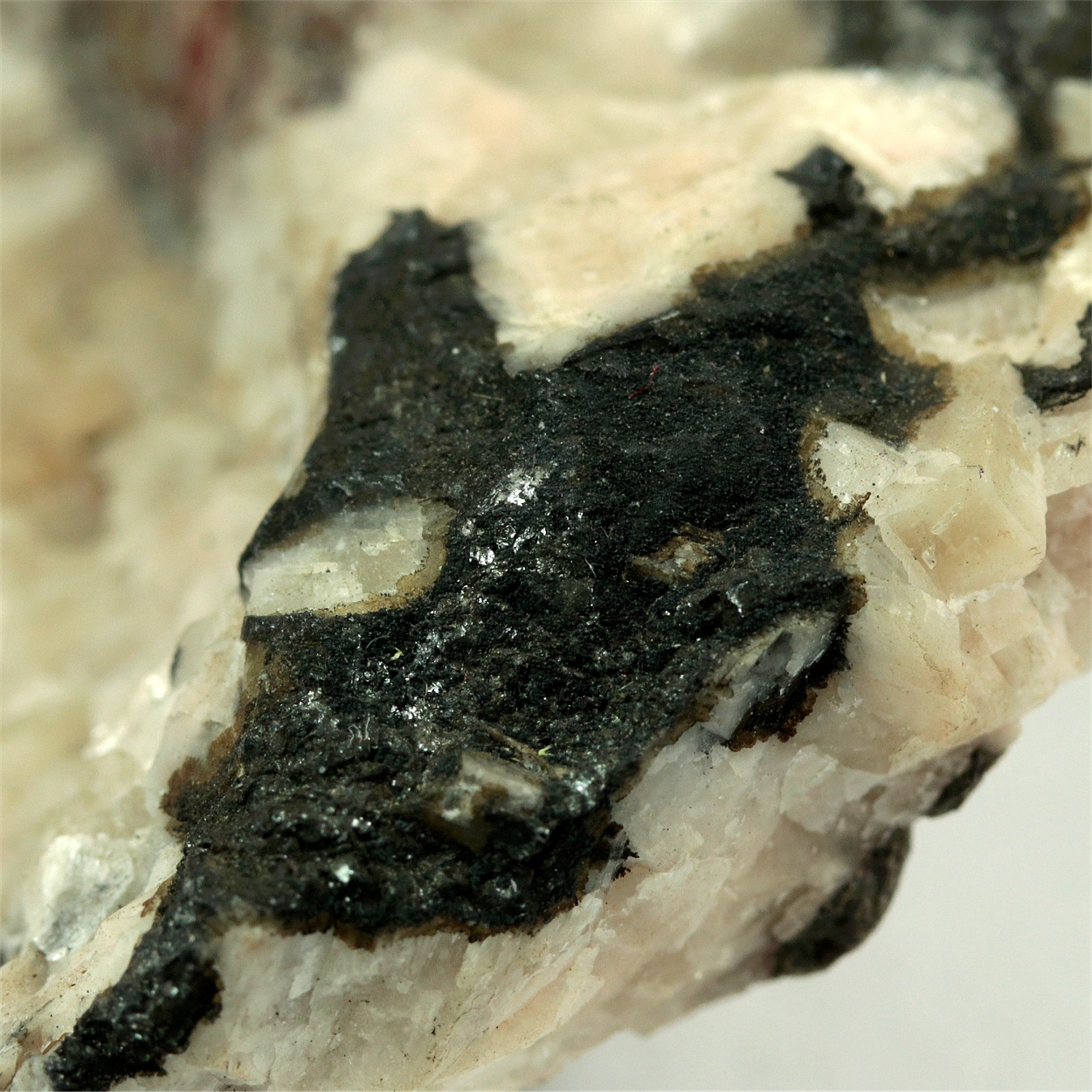 Clausthalite & Umangite & Tiemannite & Chalcomenite