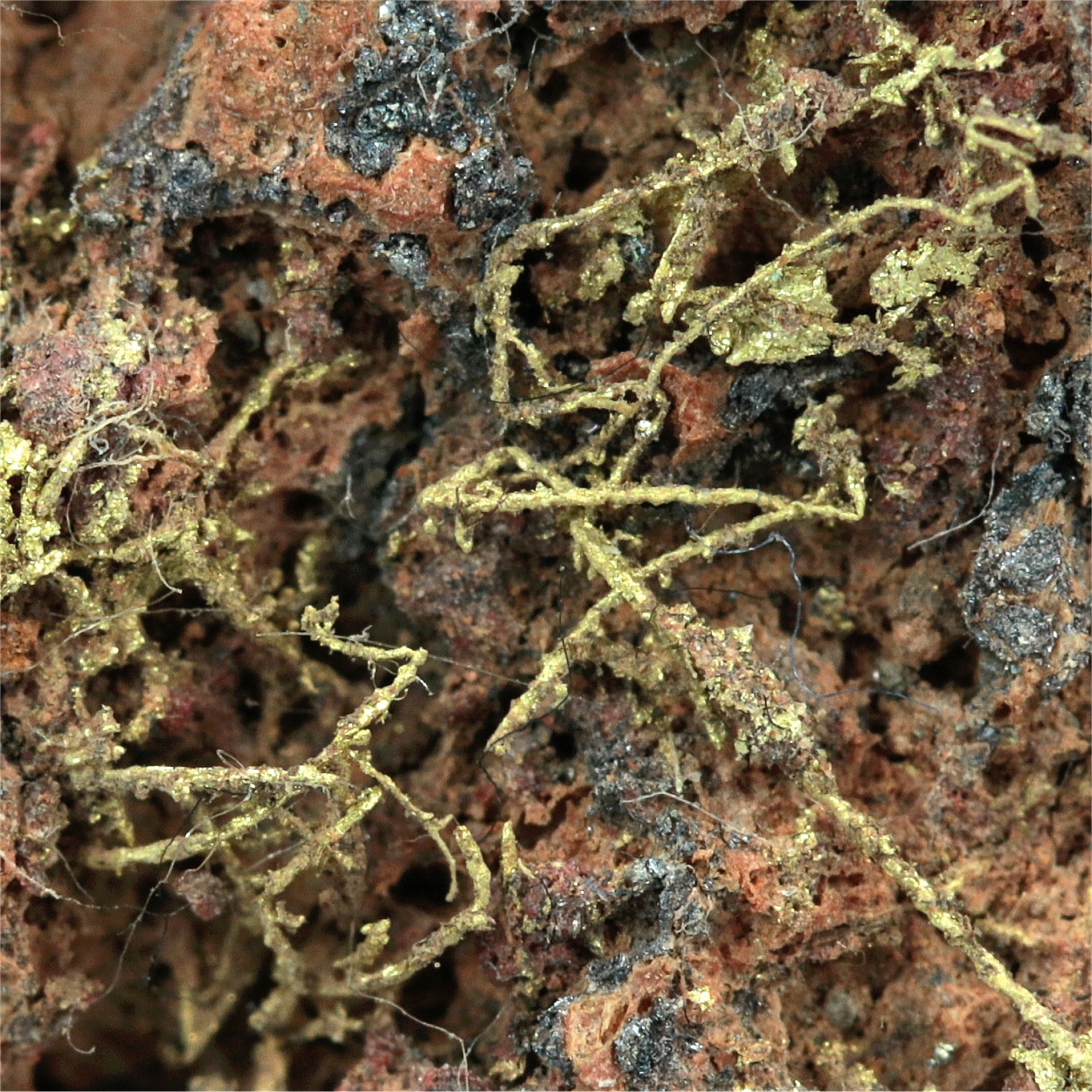 Gold With Erythrite