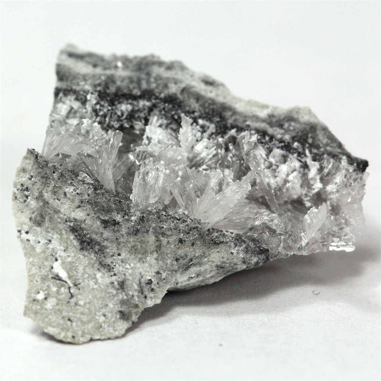 Afwillite With Thaumasite