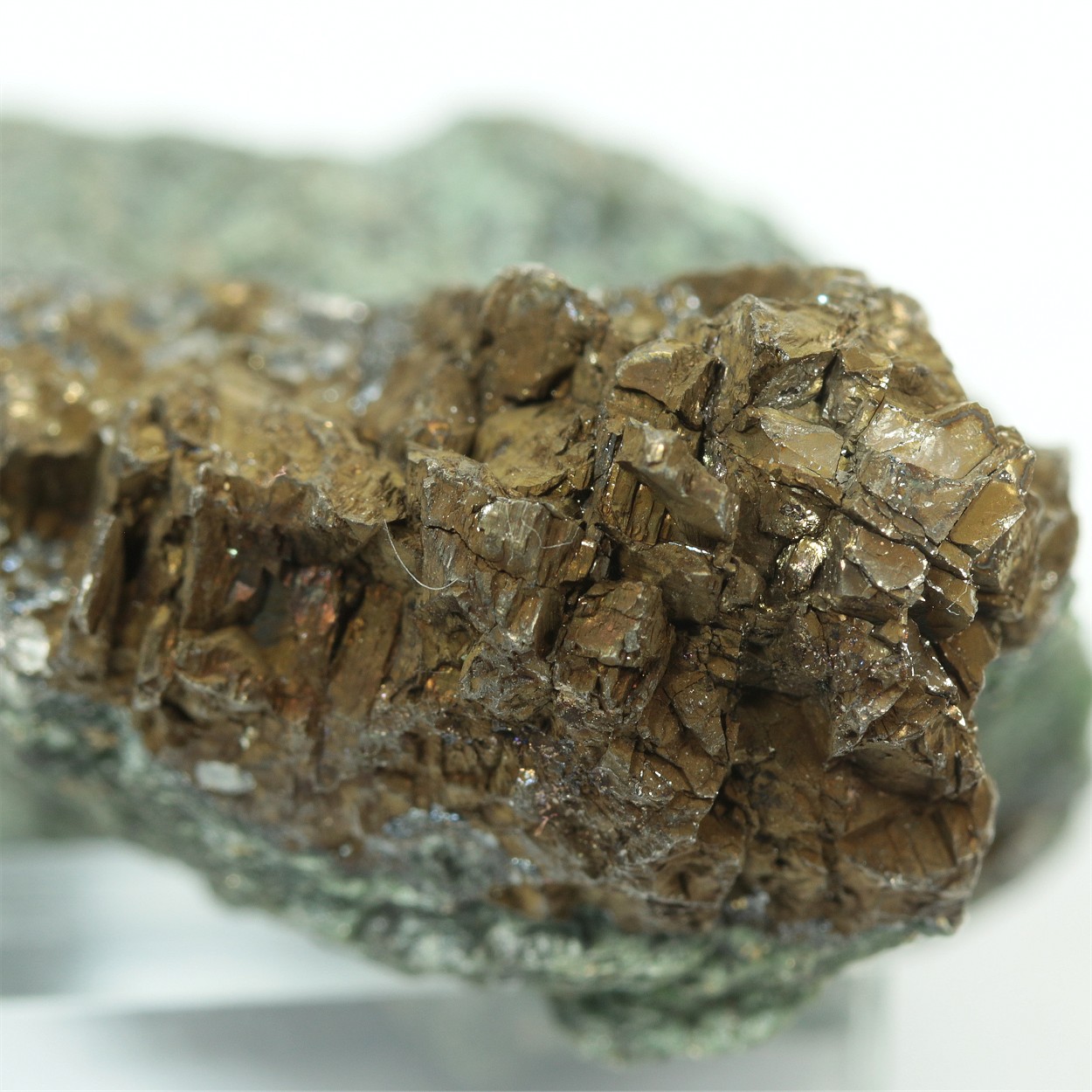 Krennerite With Pyrite