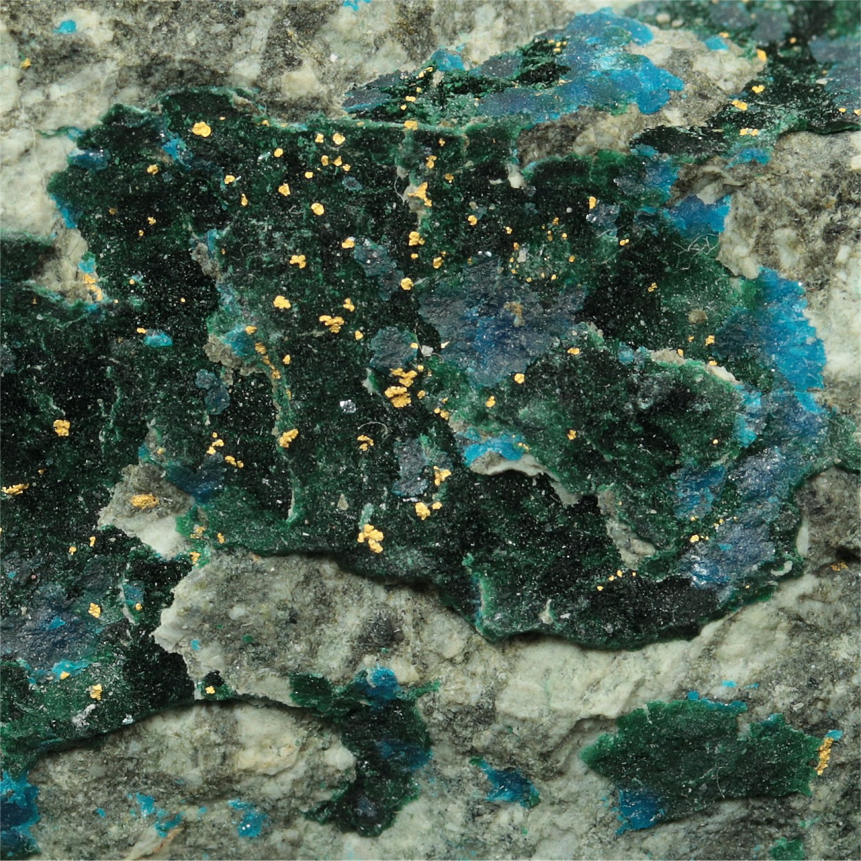 Gold With Boleite & Atacamite