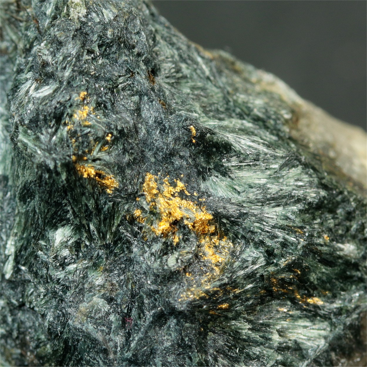 Gold With Actinolite & Tremolite