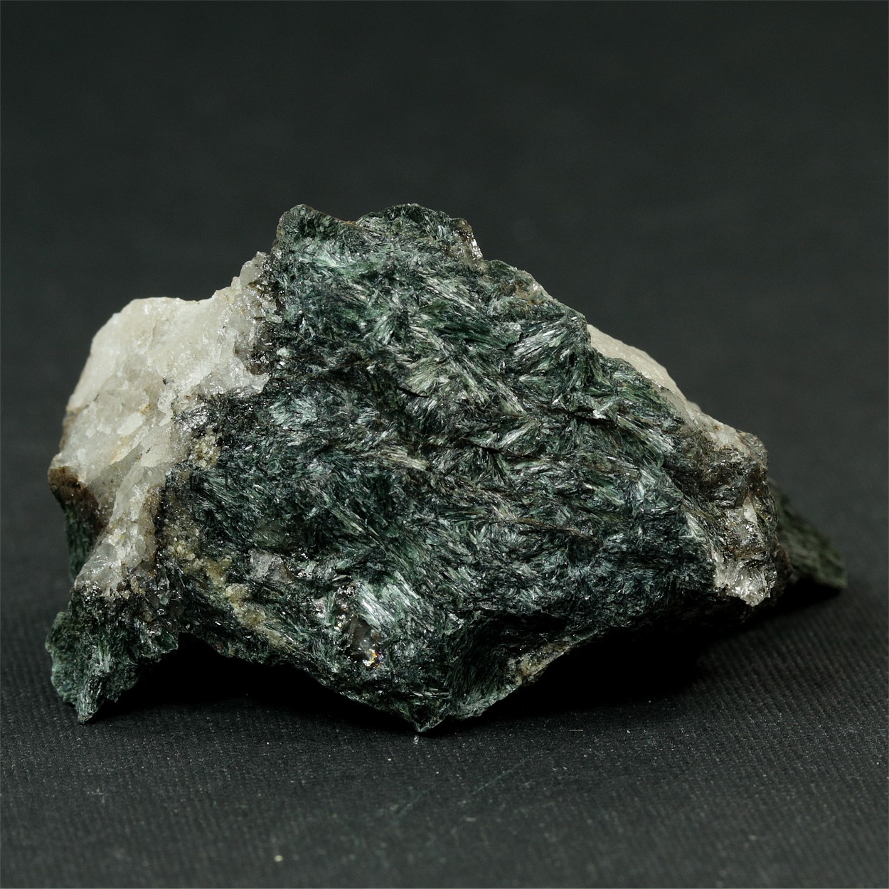 Gold With Actinolite & Tremolite