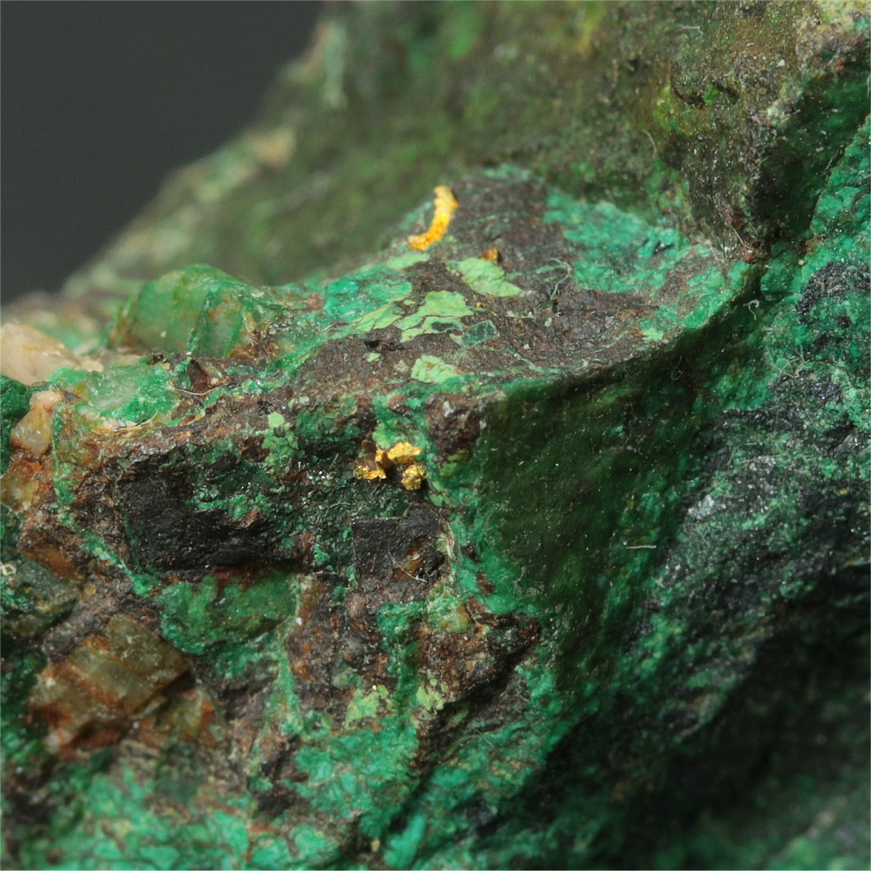 Gold With Malachite & Chalcocite & Feldspar