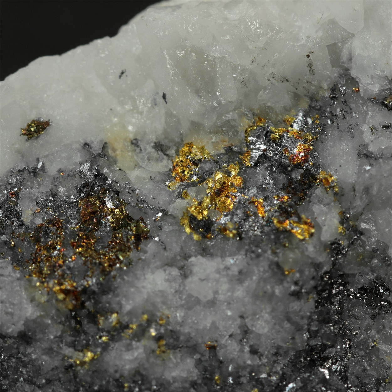 Gold With Chalcopyrite & Galena