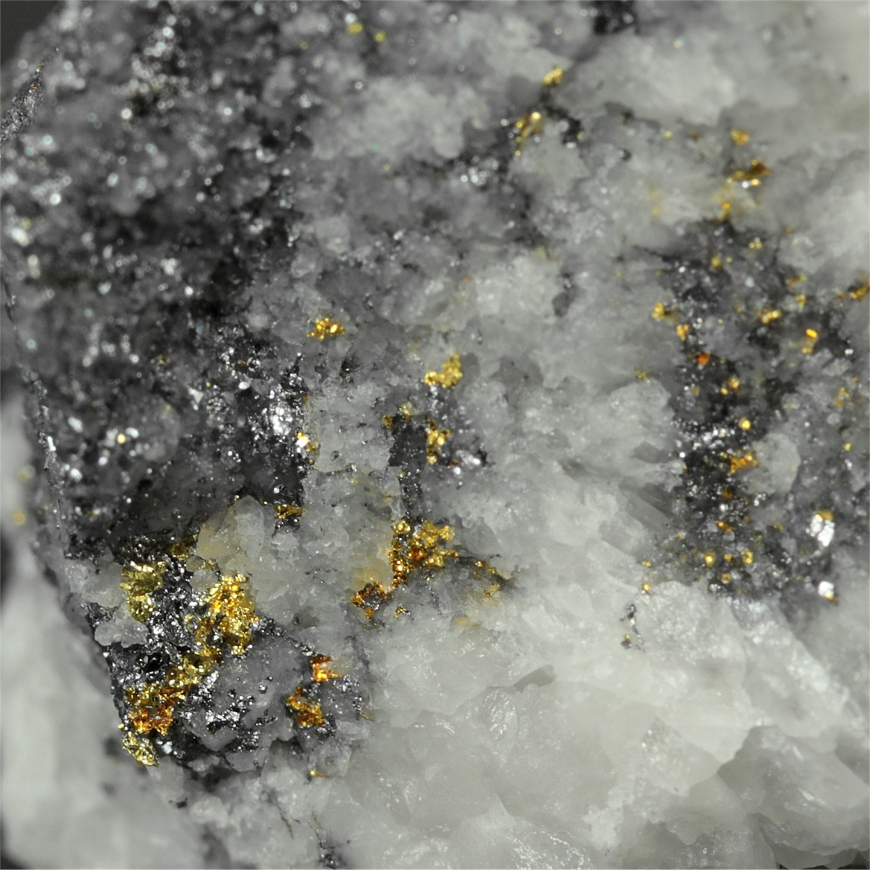 Gold With Chalcopyrite & Galena