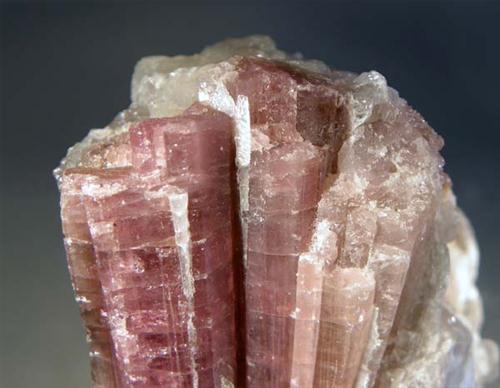 Rubellite