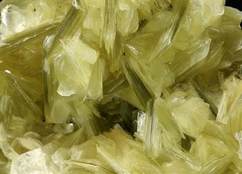 Muscovite