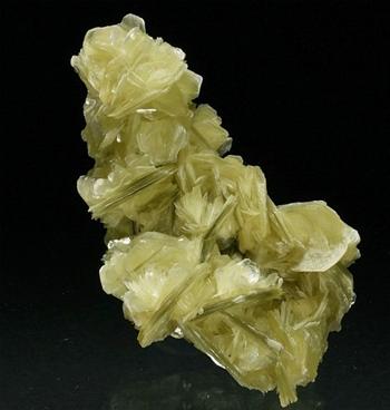 Muscovite