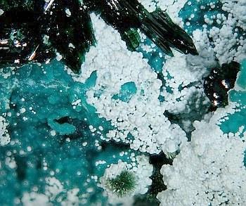 Atacamite Olivenite & Halloysite