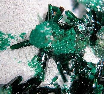 Atacamite Olivenite & Picropharmacolite