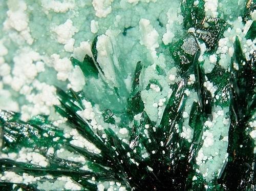 Atacamite Olivenite & Picropharmacolite